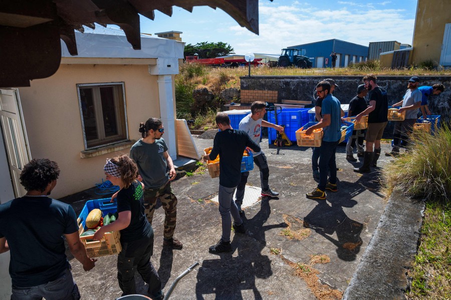 About a dozen people shift baskets of food and supplies in a bucket brigade.