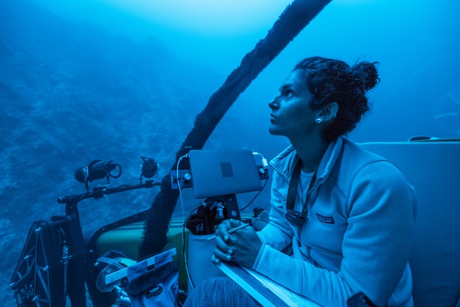 Diva Amon takes in her surroundings as the submersible Nadir descends into the deep ocean