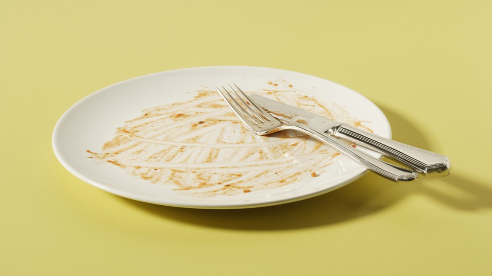 A dirty, empty dinner plate