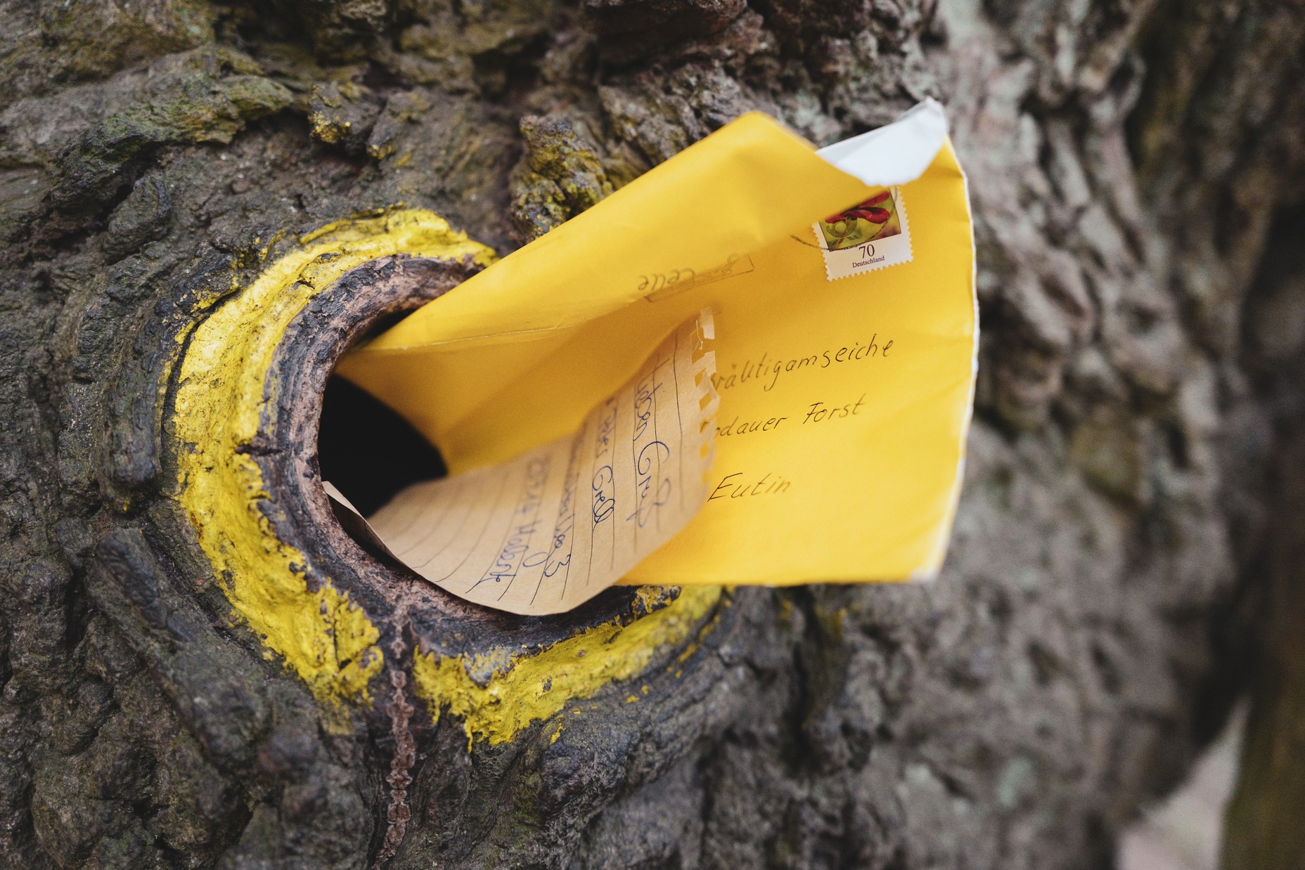 The Matchmaking Tree and the Lonely Postman - The Atlantic