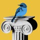 A blue bird sitting on top of a column