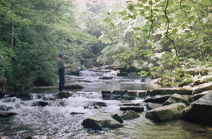 Jimmy Carter fishes in a stream.