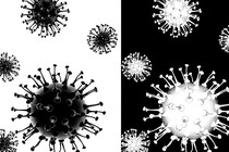 black coronavirus on white background, white coronavirus on black background