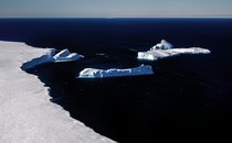 photo of curving white edge of glacier with several calved icebergs and dark blue sea