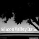 Black and white photo of Silicon Valley Bank branch partially covered by a tree.
