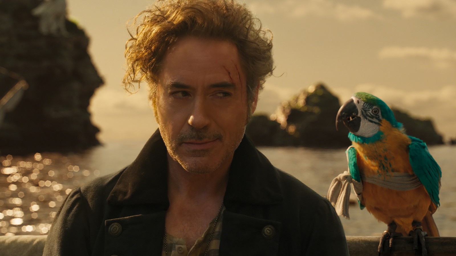 The Robert Downey Jr Dolittle Is An Expensive Mess The Atlantic