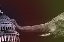 An illustration of an elephant pushing over the U.S. Capitol.