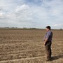 A soybean farmer looks out at his field in Wilton, Iowa.