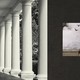 Diptych showing a black-and-white photo of White House columns on the left and a color photo of a bison and three birds on the right.