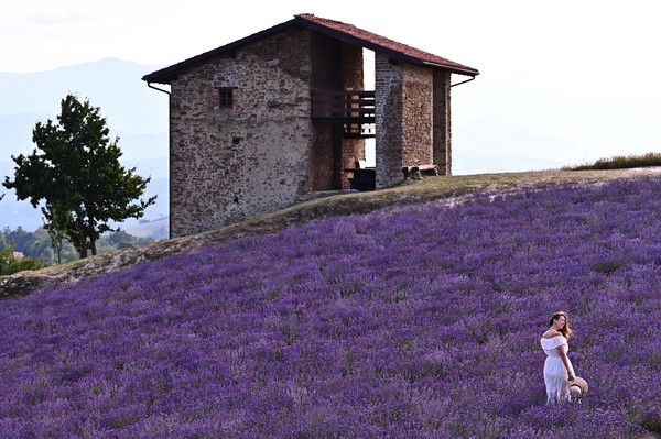 fotos-van-de-maand-juli-augustus-2021-cameradeals