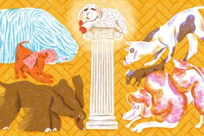 Various dogs worshipping the Lamb Chop Toy