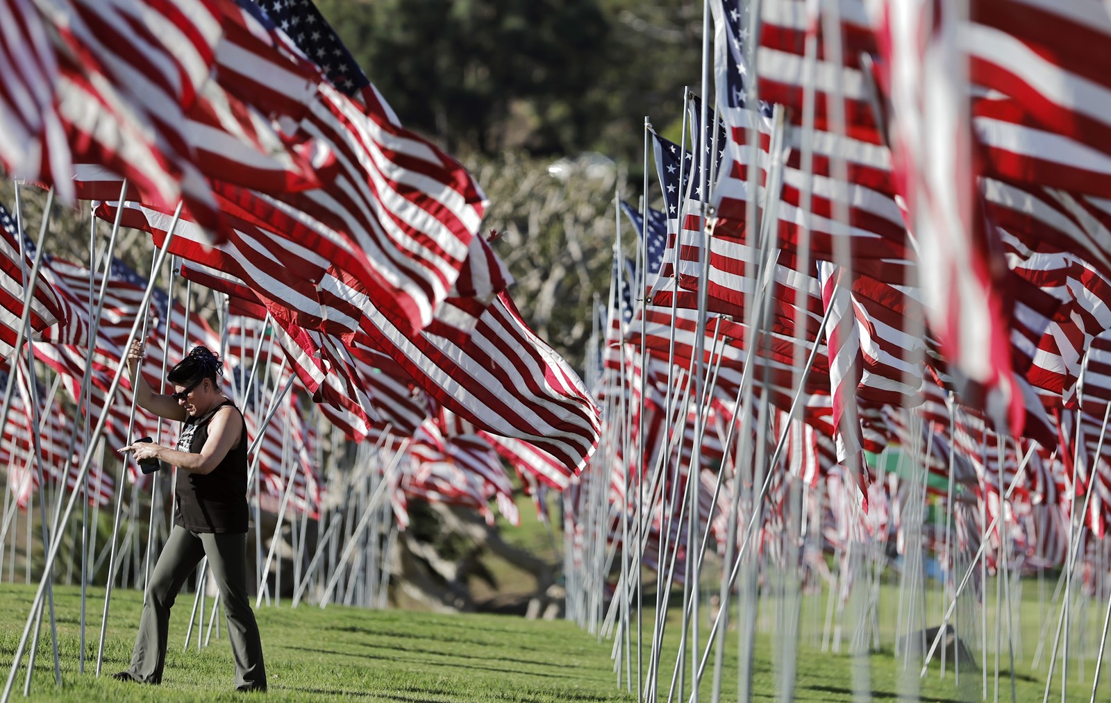 A person adjusts an American flag among a display of several thousand flags arranged on a grassy slope.