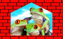 An illustration of three frogs against a brick-wall background