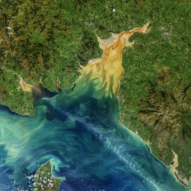 Norman Kuring / NASA's Ocean Color Web