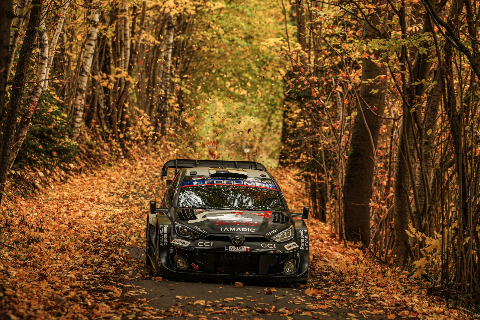 A rally car drives on a leaf-covered road through a forest during a race.