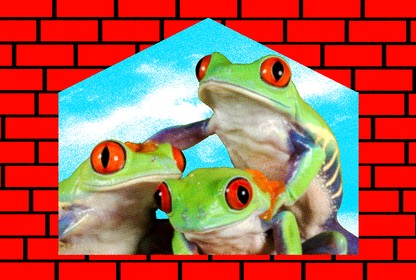 An illustration of three frogs against a brick-wall background