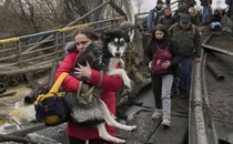 A woman carries a medium-size dog across a path in the rubble of a destroyed bridge, as several other people walk behind her.