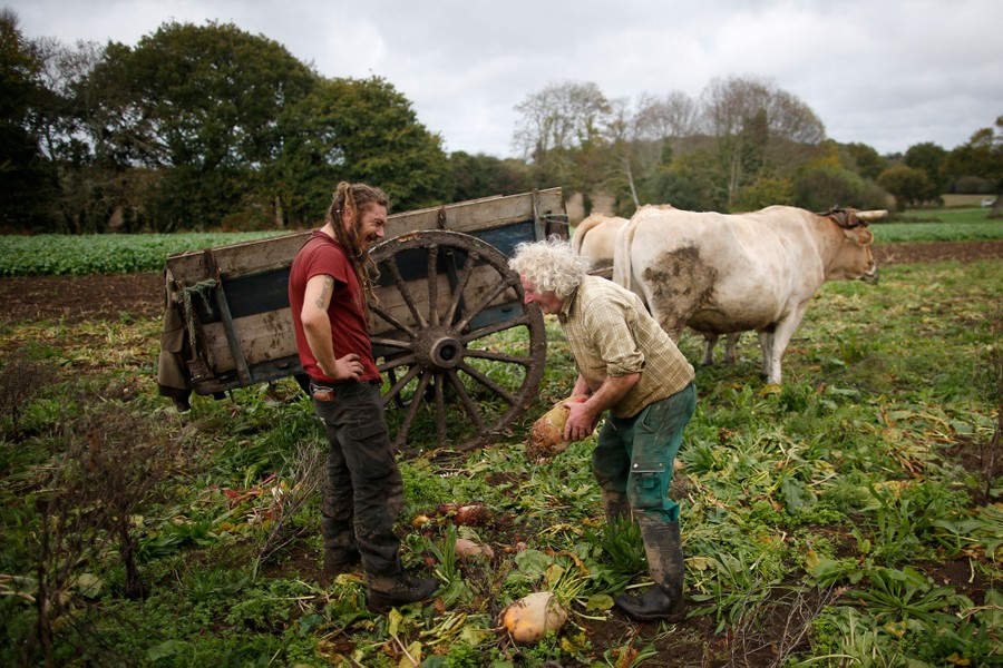 farming-in-france-complete-france