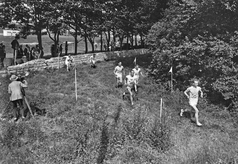 Several runners pass by during a cross-country race.
