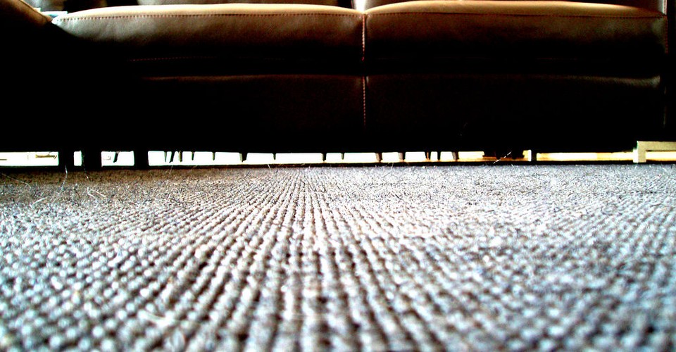 How To Test A Couch For Toxins The Atlantic