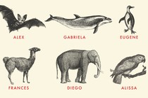 Illustration of a field guide with animals given human names: A bat named Alex, a dolphin named Gabriela, a penguin named Eugene, a guanaco named Frances, an elephant named Diego, and a parrot named Alissa