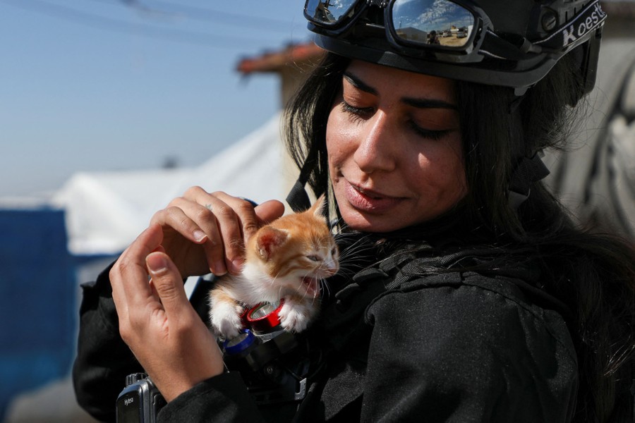 A security officer holds a small kitten.