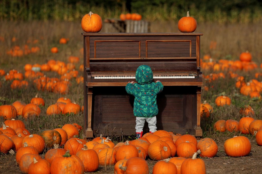 A child plays with a piano set up in a pumpkin patch.