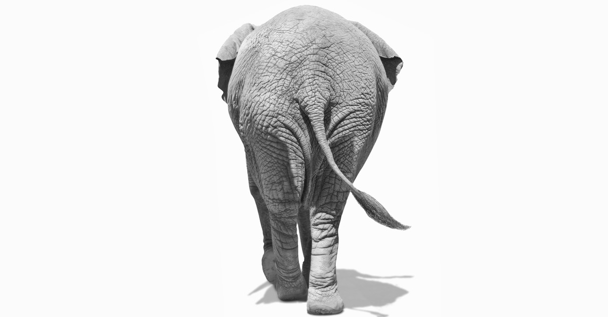 NextImg:The Trump Abandonment Has Begun