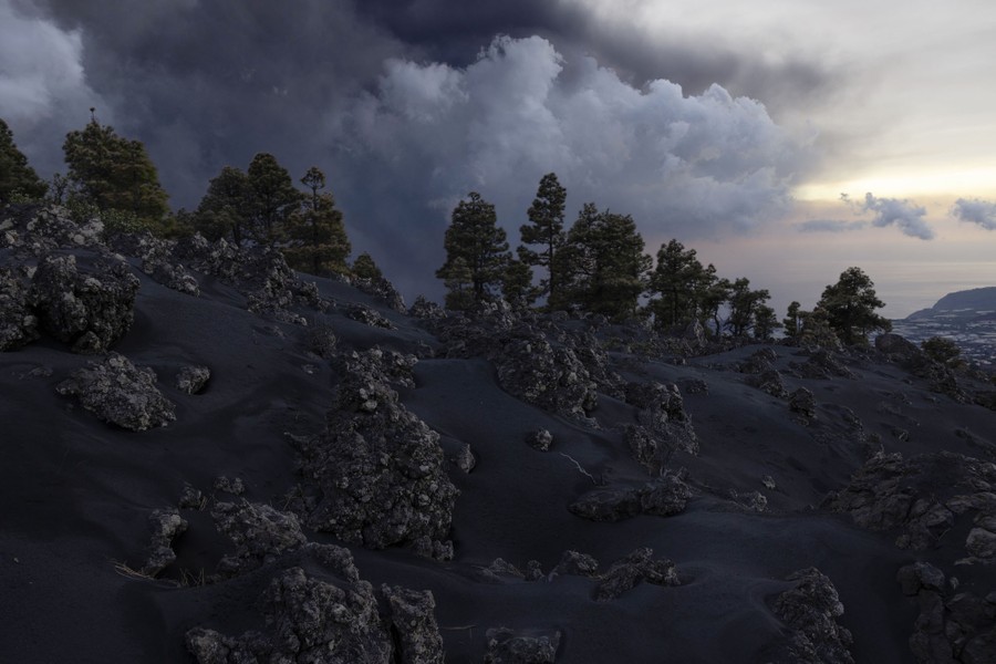 Trees and rocks appear in an ash-covered landscape.