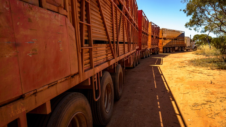 A trackless "road train" drives through the Australian outback.