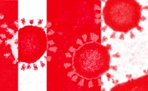 red and white art of virus particles