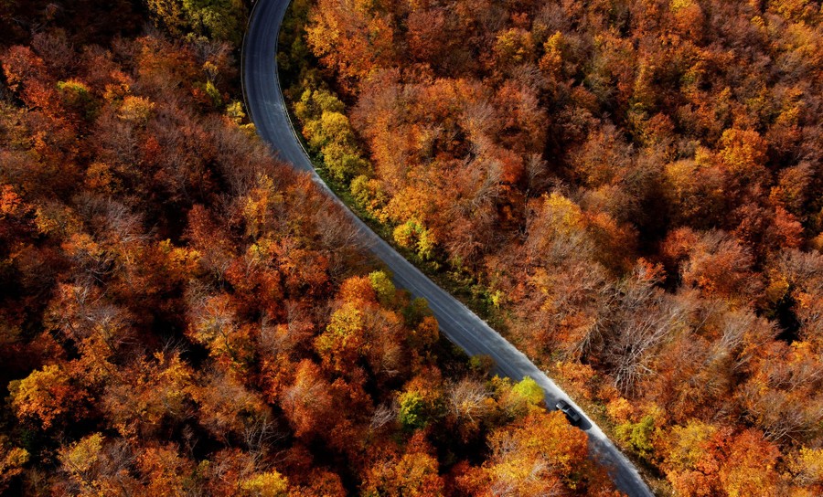 An aerial view of a road cutting through a forest with autumn colors.