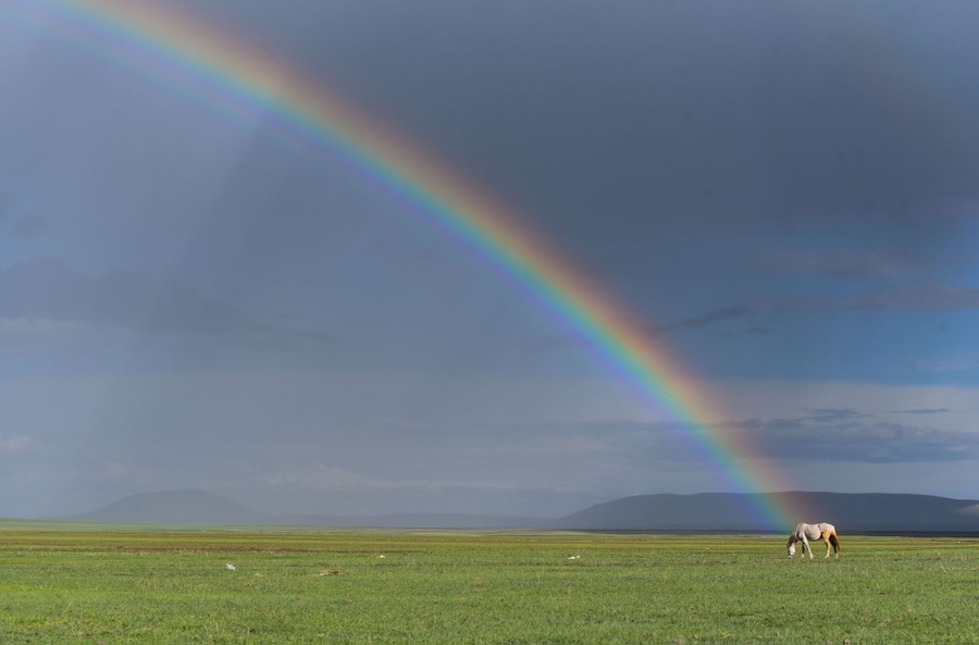 A rainbow appears behind a horse grazing in a green pasture.