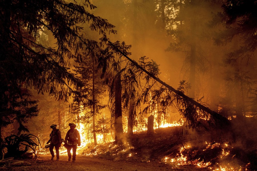 Firefighters walk past burning trees.
