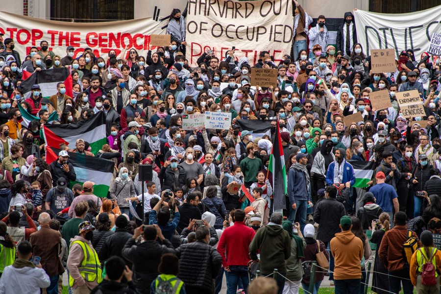 Pro-Palestinian protesters stand on steps outside a building.