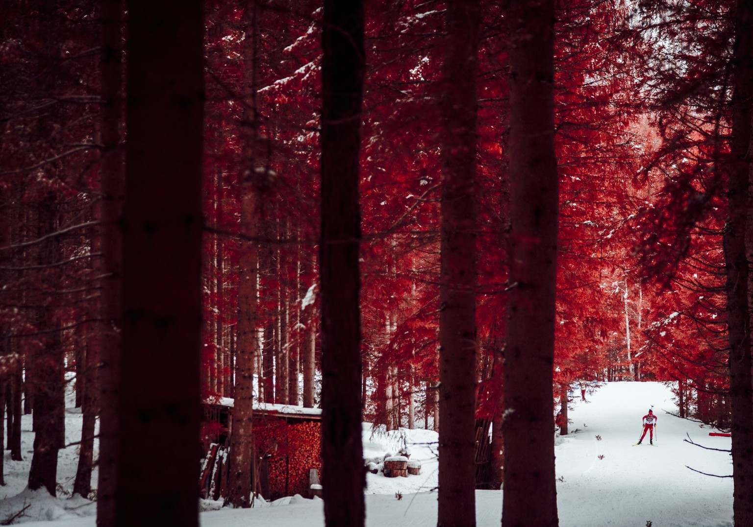 Different Views of the Winter Olympics - The Atlantic