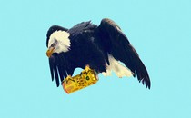 Illustration of a bald eagle clutching a canned yerba mate drink in its talons