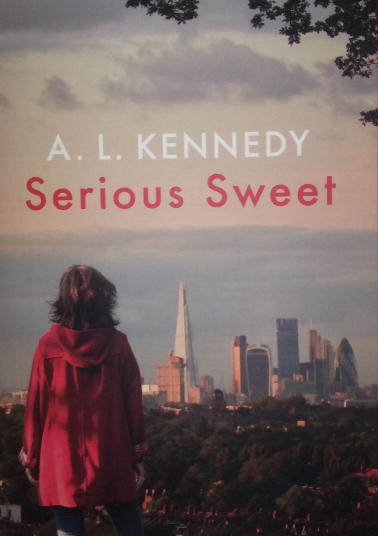 Inside the 2016 Man Booker Longlist The Atlantic