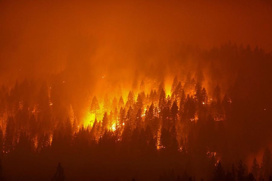 A night view of a large forest burning.