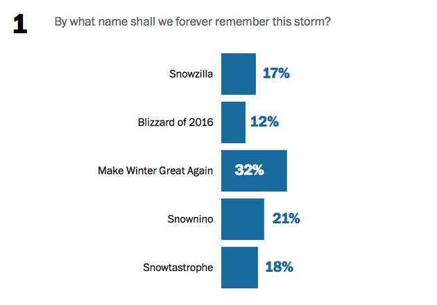 A bar chart showing the results of the name-the-2016-blizzard poll. Blizzard of 2016 is in last place. Snowtastrophe and Snowzilla are tied at 17 and 18 percent, respectively. Snownino is in second with 21 percent. Make Winter Great Again leads the poll with 32 percent of all votes cast.