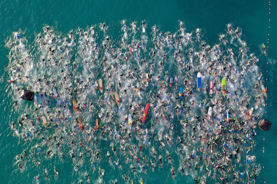 An aerial shot of dozens of swimmers competing in a race