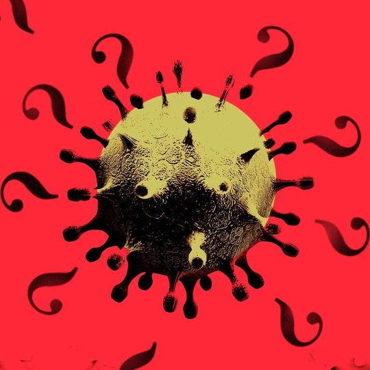 How Many People Had the Coronavirus in January? - The ...