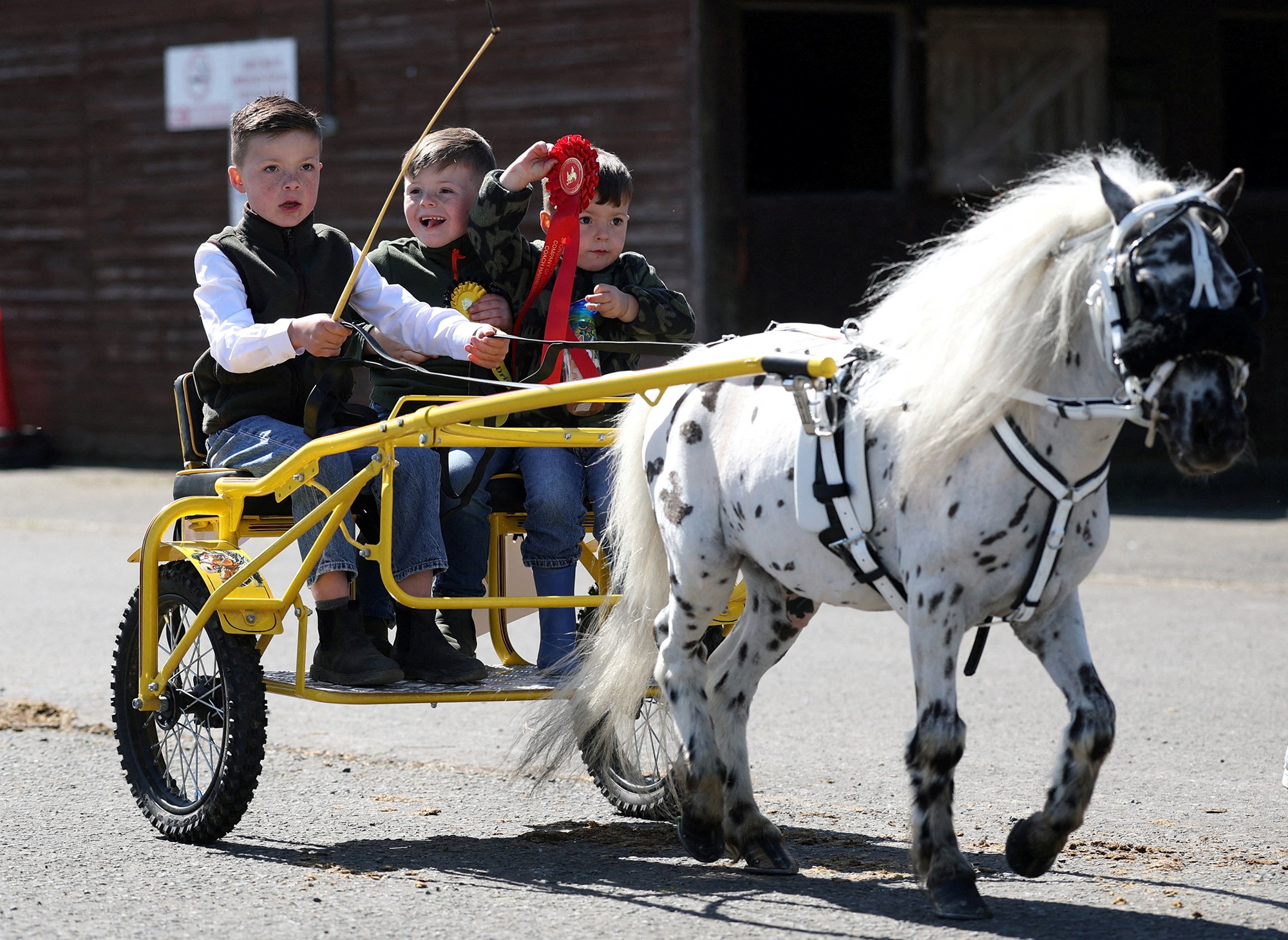 Three young boys ride in a small cart attached to the back of a pony.