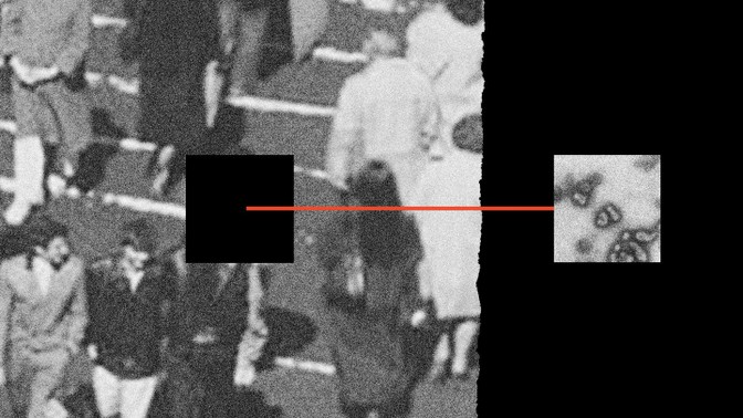 Flu season was quiet this year