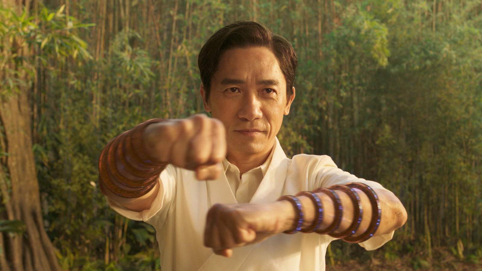 Shang-Chi and the Legend of the Ten Rings' Review: MCU's Best