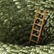 illustration of a ladder leading the way out of a hole covered with dollar bills