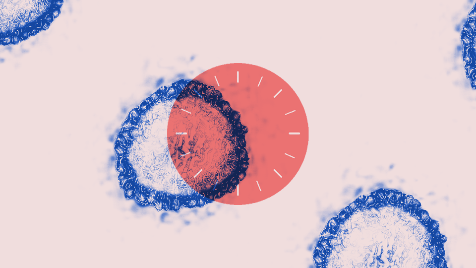 Blue coronaviruses sit on top of a clock face