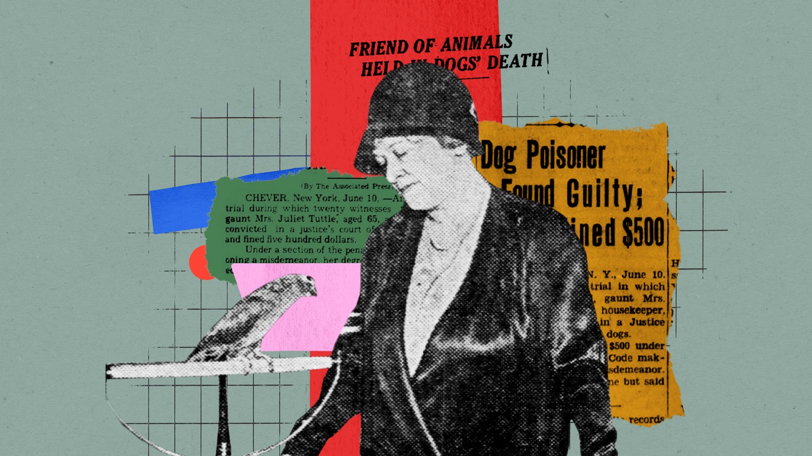 New York's Grand Dame of Dog Poisoning - The Atlantic