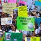 Colorful protest signs about the people deported to El Salvador