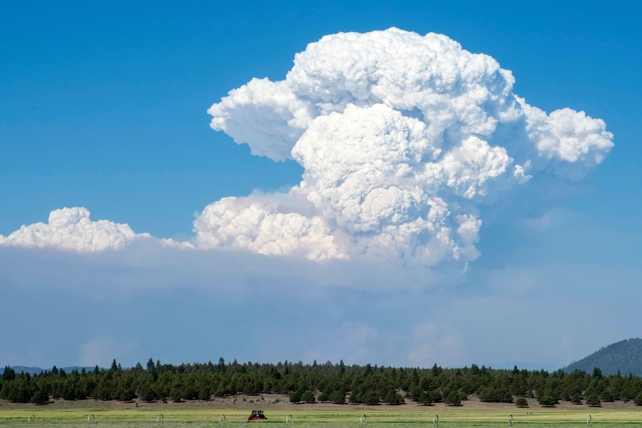 A large cloud rises above a distant forest fire.